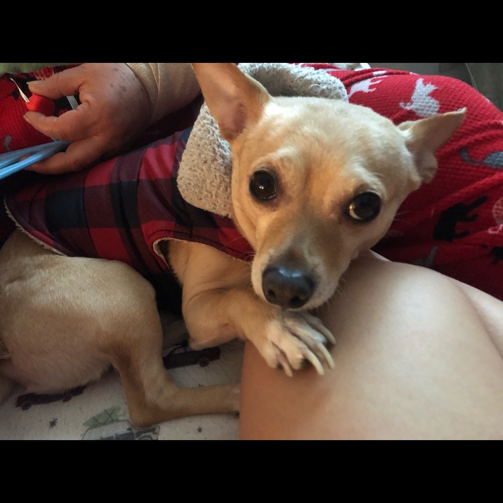 Meet your Posher, Gabriela